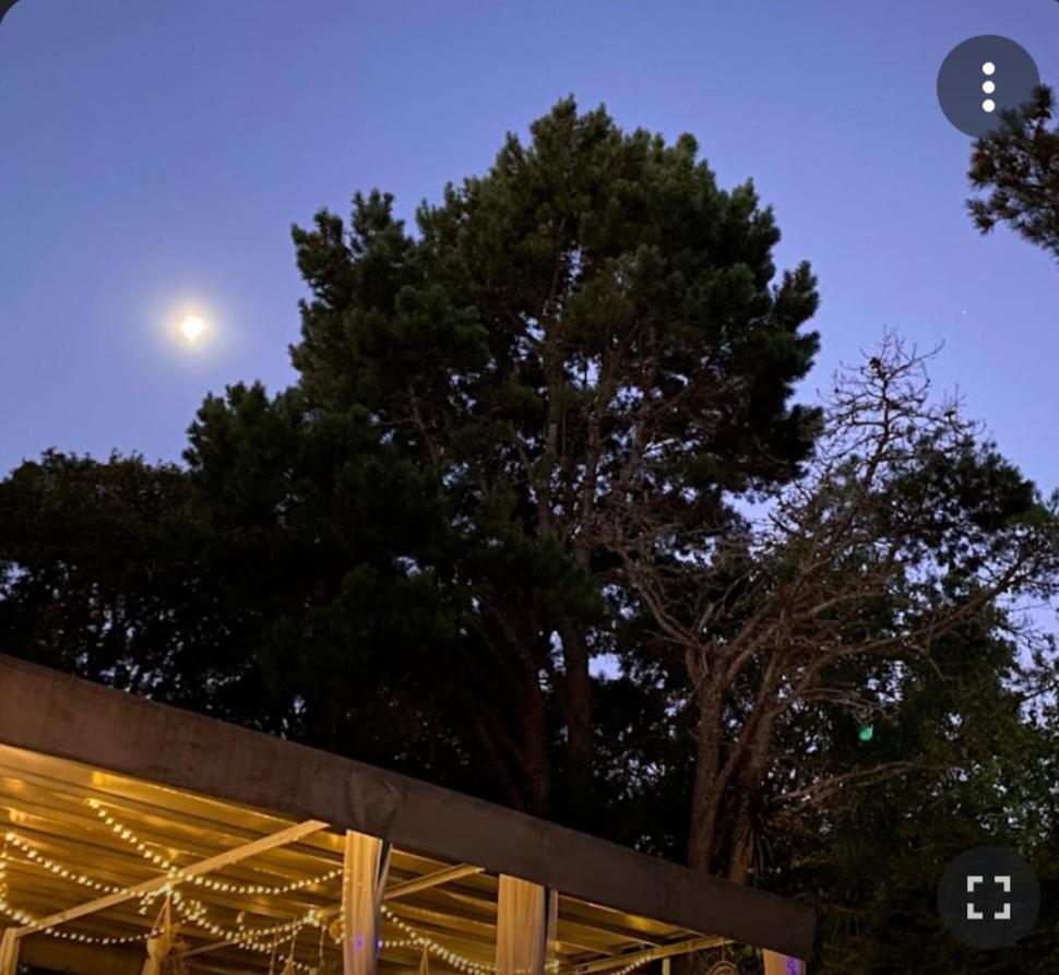 Mi Espacio Sur Chascomús المظهر الخارجي الصورة